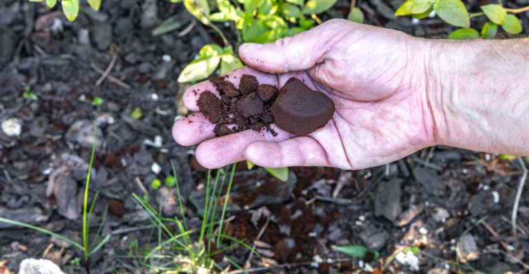 What Pennsylvania Gardeners Should Do With Coffee Grounds Right Now (And What They Should Avoid)