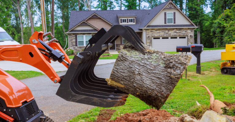 How To Safely And Quickly Remove A Tree Stump From Your Virginia Yard