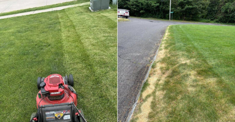 The Lawn Mowing Mistake California Homeowners Should Avoid During Extreme Heat