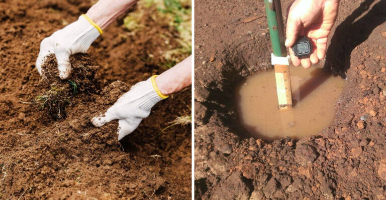 Stop Doing This To Dry North Carolina Garden Soil Or You Will Repel What Little Rain Falls
