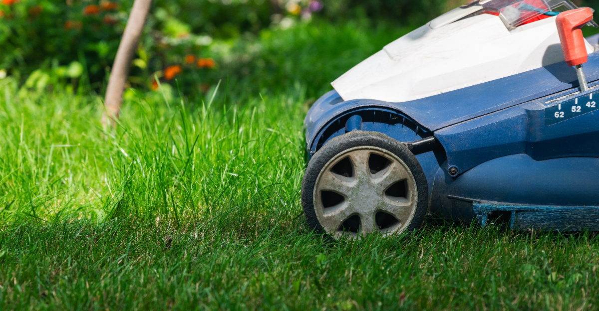 lawn mowing