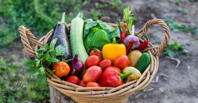 This Is The Pre-Storm Harvest Habit Pennsylvania Gardeners Wish They Knew Sooner