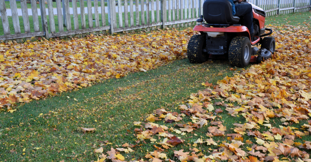 Lawn tractor mulches leaves into the lawn
