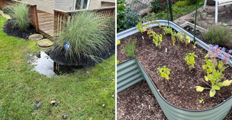 How To Safely Feed Storm-Drenched Soil In A Michigan Backyard