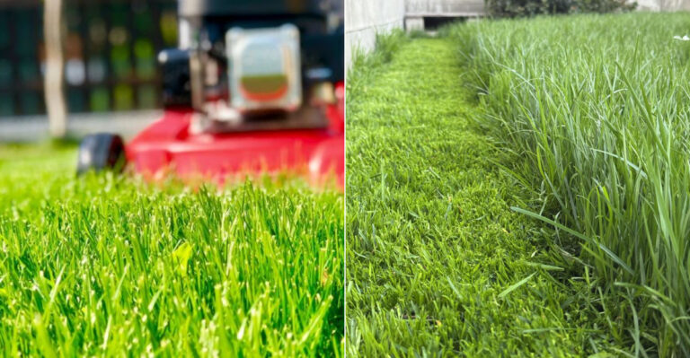 How High Oregon Homeowners Should Mow Their Lawn Before Fall Rain Returns