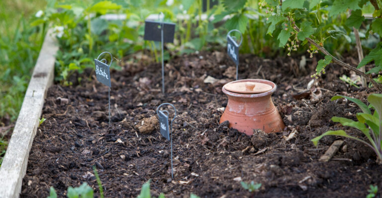 This Is The Amish Watering Trick Pennsylvania Gardeners Swear By In A Dry August