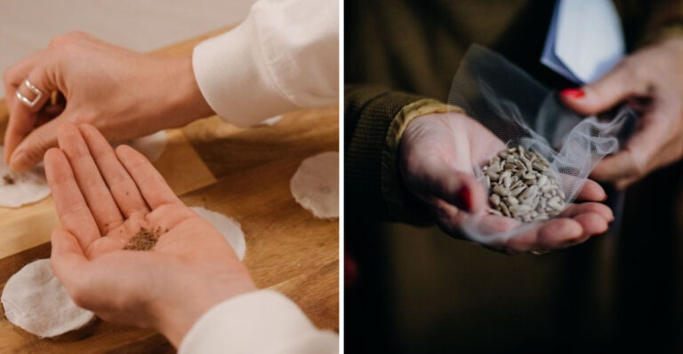 The Amish-Inspired Seed Saving Ritual Catching On With Connecticut Growers