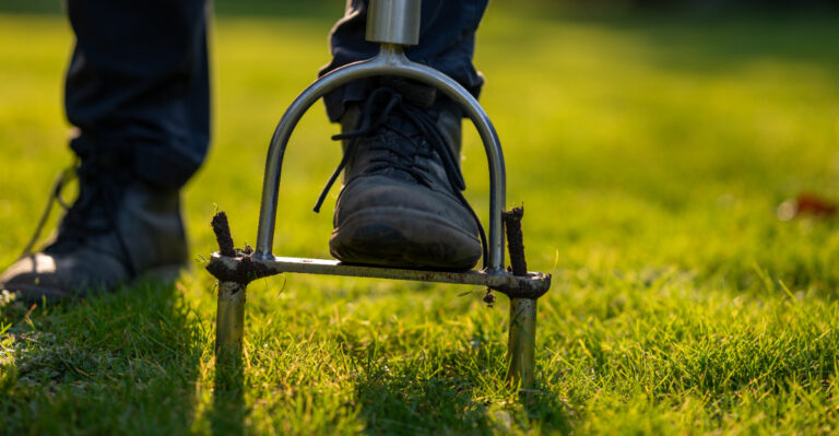 The New York Lawn Prep Task Homeowners Should Tackle This Week Before September Seeding