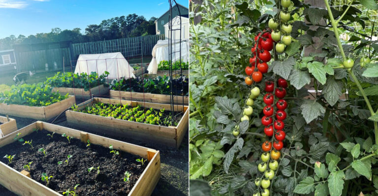 What Oregon Gardeners Should Do The First Week Of September