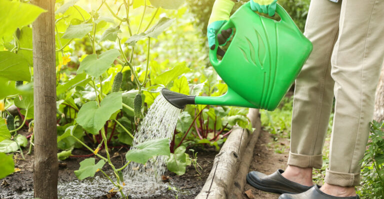 Stop Working In Your Georgia Garden During Midday Heat: Do This Instead