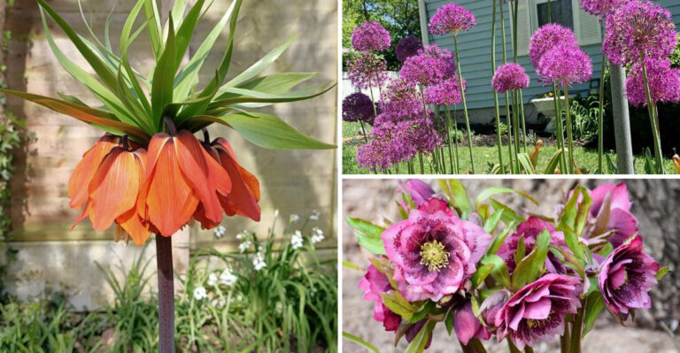 The Vole-Resistant Plants Oregon Gardeners Are Using In Garden Beds