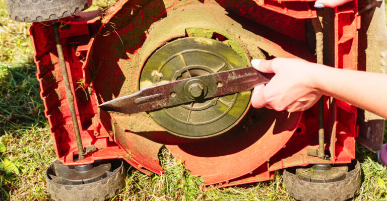 Don’t Make This Mowing Mistake During Virginia’s Hottest Days