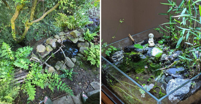 Why A Micropond Is The Easy Garden Trend Bringing Wildlife To Your Wyoming Yard