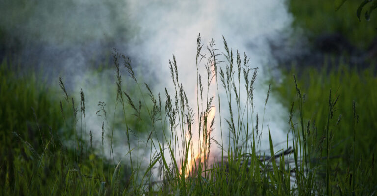 Never Ignore Dry Yard Debris During An Oregon Red Flag Warning