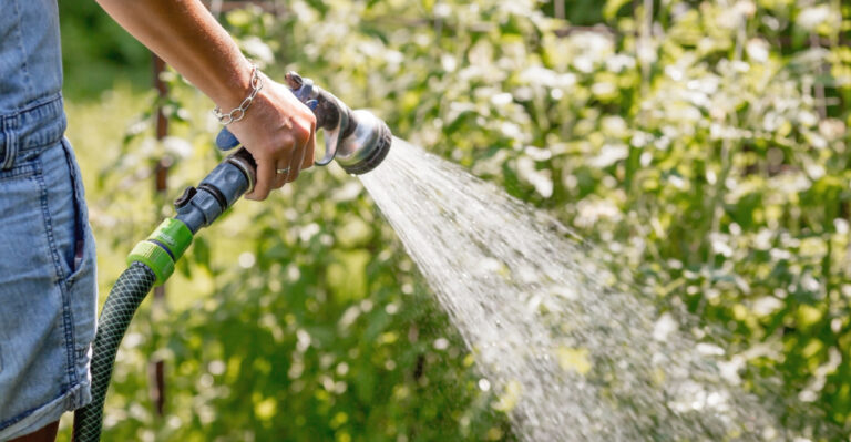 The Watering Mistake Many Arizona Gardeners Make During A 107° Heat Warning