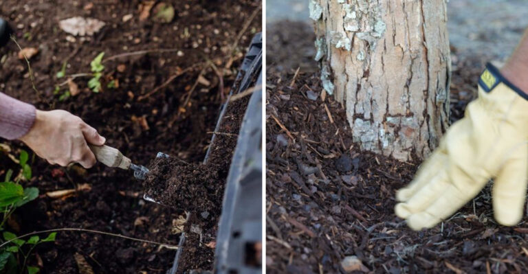 How To Keep California Soil Moist Longer Without Overmulching
