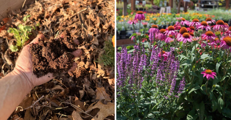 Now Is The Best Time To Refresh And Clean Up Your Michigan Garden