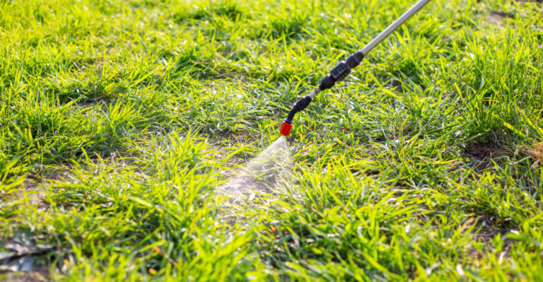 The Indiana Yard Job In September That Decides How Many Weeds You Get In April