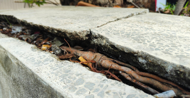 Who Is Responsible For A Shared Retaining Wall Damaged By Tree Roots In Oregon?