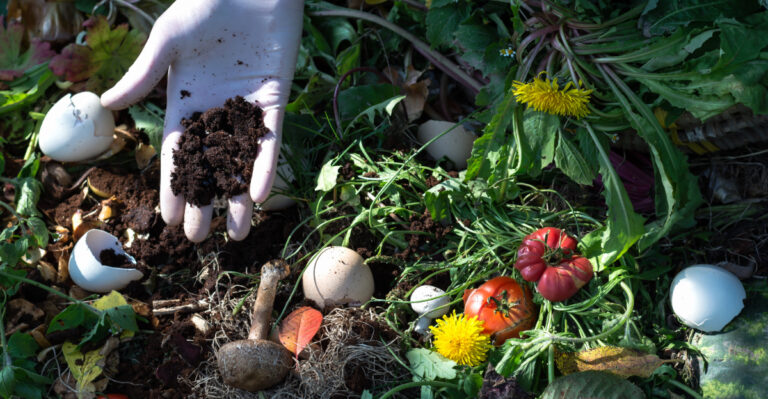 The Most Underrated Compost Ingredient North Carolina Gardeners Are Using This August