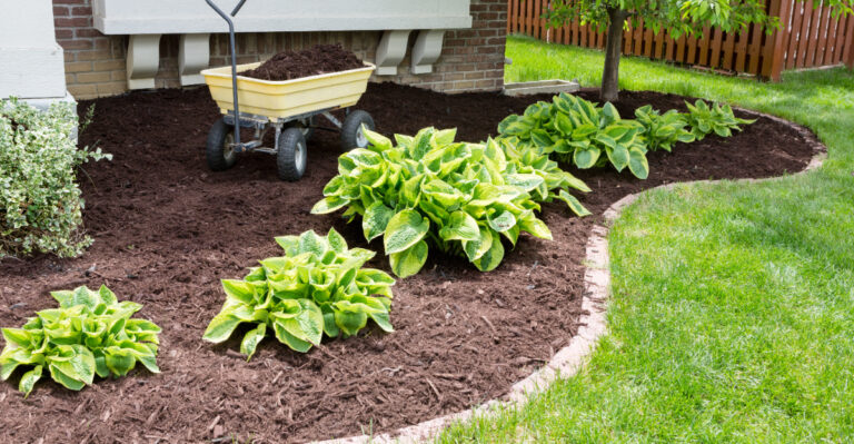 The Late-August Mulching Mistake That Can Cause Problems Once Oregon Rains Return