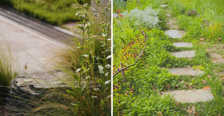 Connecticut’s Most Rebellious Garden Trend Is Hiding In Plain Sight
