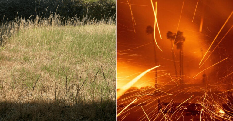 Why September Is California’s Most Dangerous Month For Yard Fire Risk