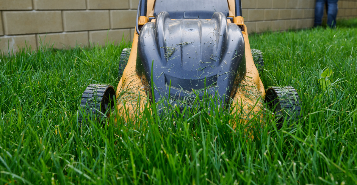 lawn mower
