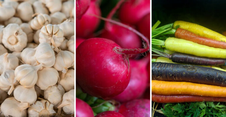 9 Fall Vegetables To Plant After Removing Tomato Plants