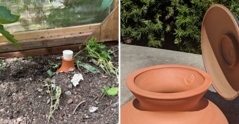 Why More Arizona Gardeners Are Switching To Ollas Before The Storms