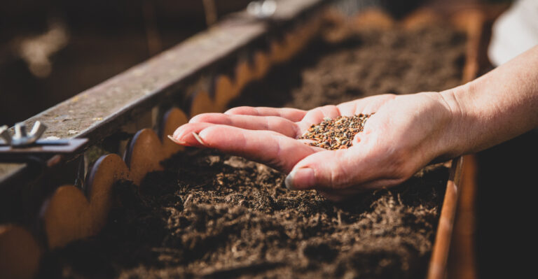 Why Garden Experts Say To Skip Wildflower Seed Mixes In Iowa