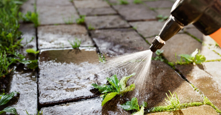 The Reason Illinois Homeowners Spray Vinegar Around Their Yards