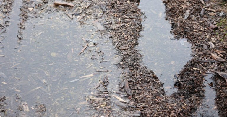 Why Houston’s Flood Warning Means You Should Check Your Mulch Today