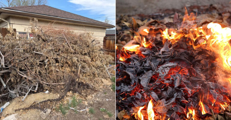 The California Yard Habit That Fire Officials Warn Spreads Embers To Your Home