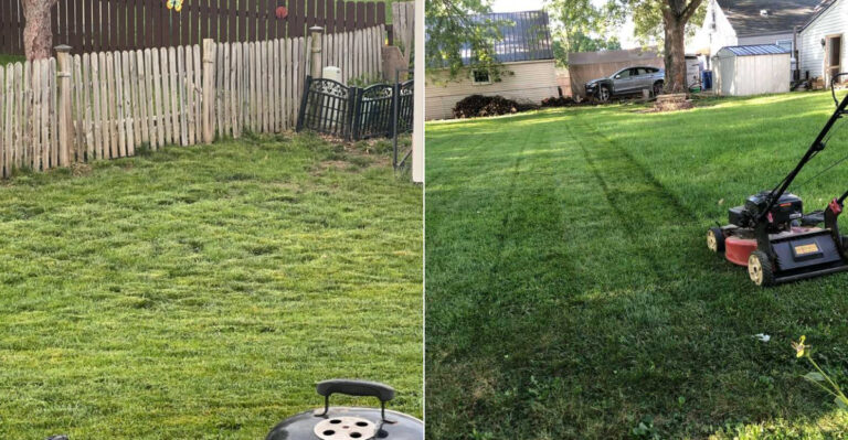 How To Level A Bumpy Oregon Lawn Without Tearing The Whole Yard Apart