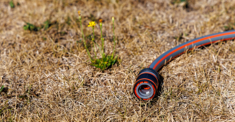 Summer Heat Left Your Lawn Brown? Skip This Common Mistake