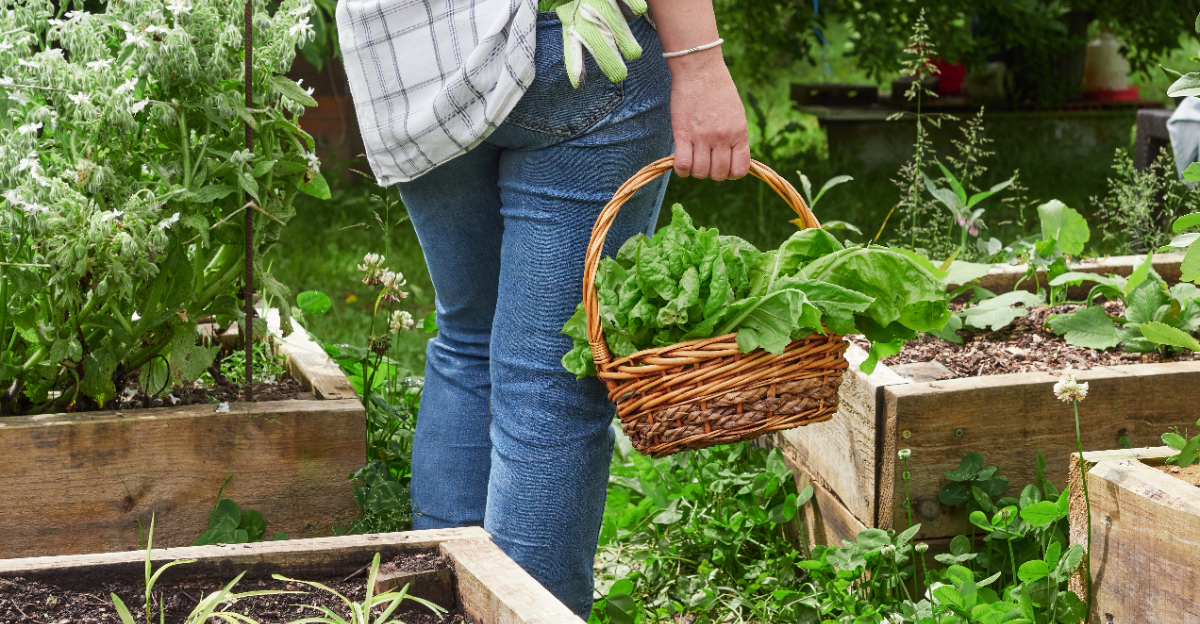 gardener