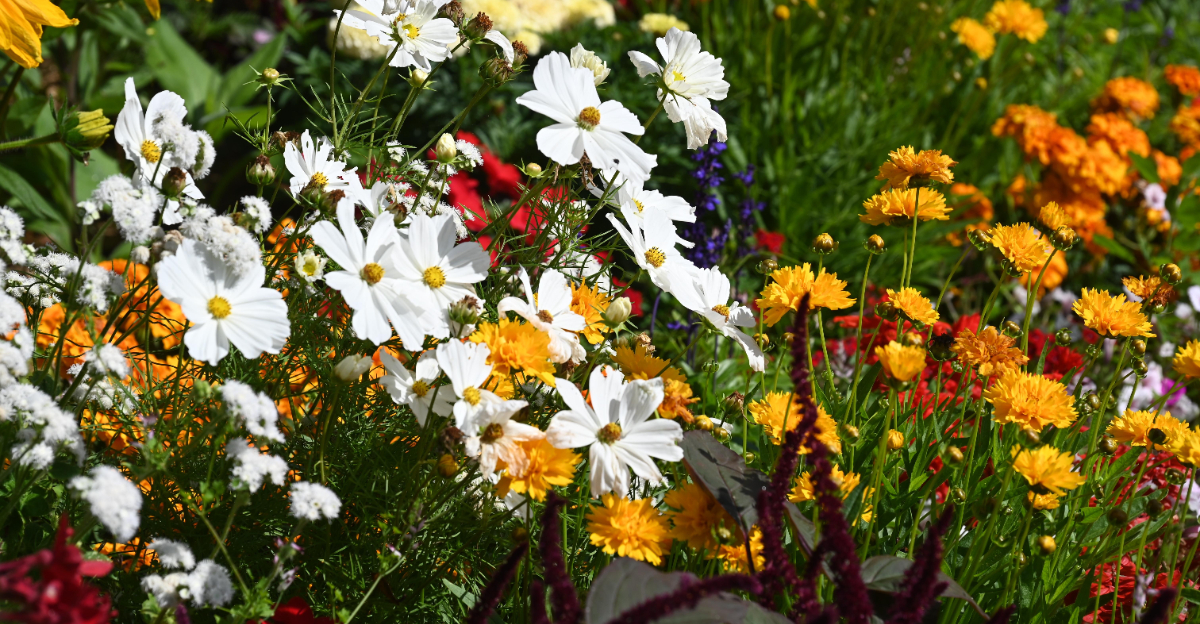 flowers