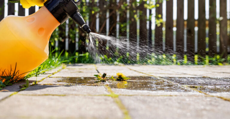 vinegar weed spray