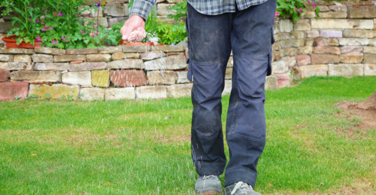 fertilizing the lawn soil