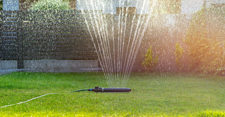 The Watering Mistake That Stresses Arizona Lawns During Late Summer Humidity