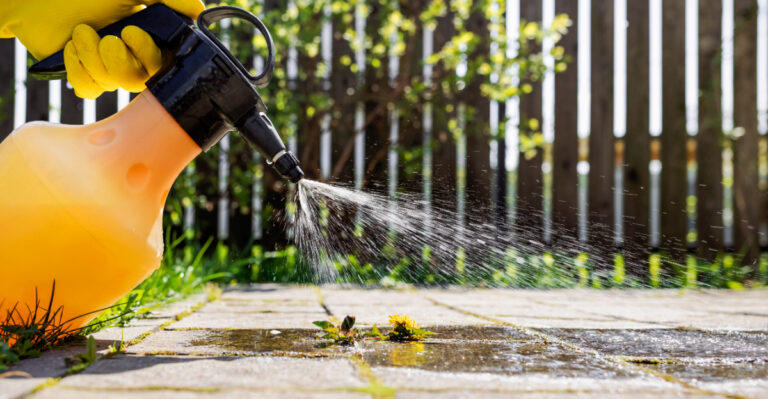 Here’s Why North Carolina Homeowners Keep Spritzing Vinegar Around Their Yard