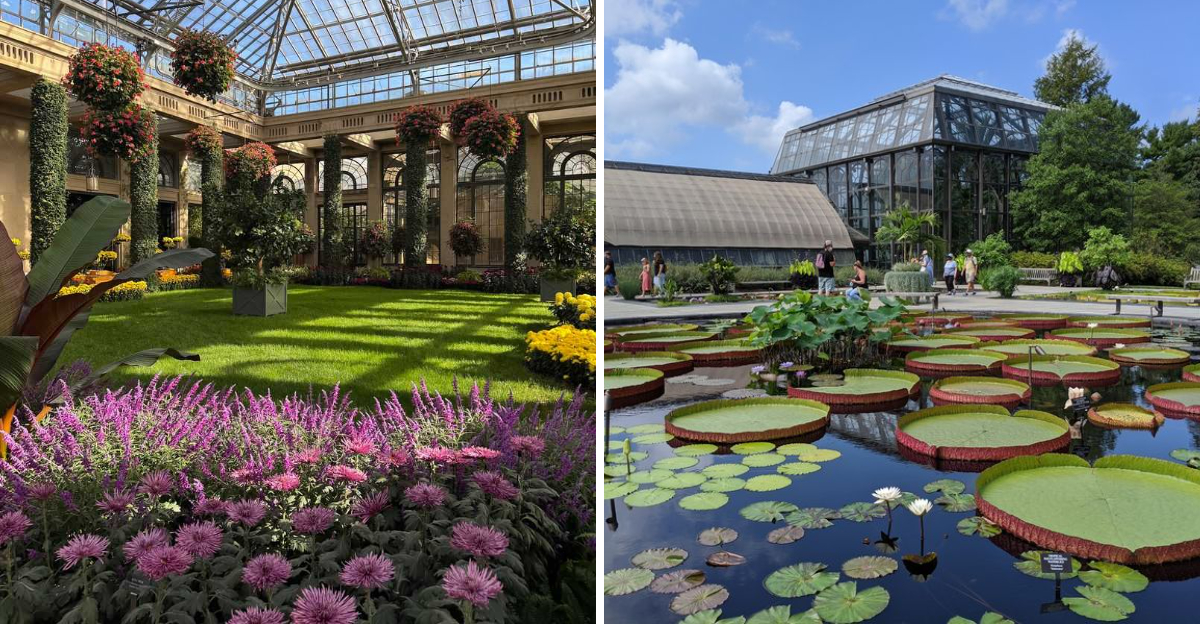 longwoods garden