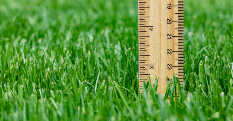 The Lawn Mowing Mistake Illinois Homeowners Should Avoid During Extreme Heat