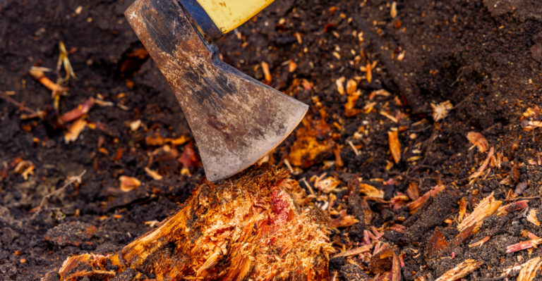 Are Indiana Neighbors Allowed To Cut Tree Roots That Cross Their Yard