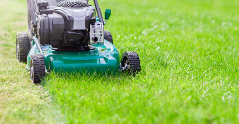 The Late-Summer Mowing Mistake That’s Stressing Your Lawn