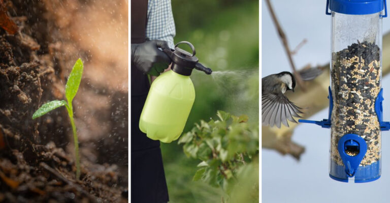 10 Proven Ways To Naturally Repel Pests From Your Montana Vegetable Garden