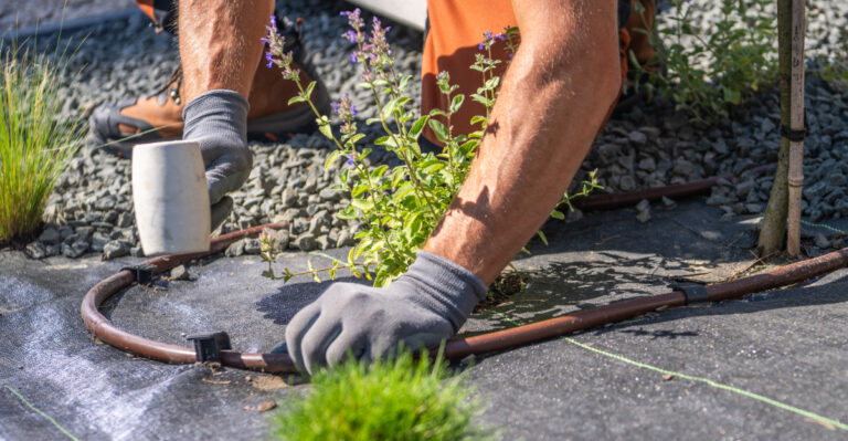 Irrigation (featured image)