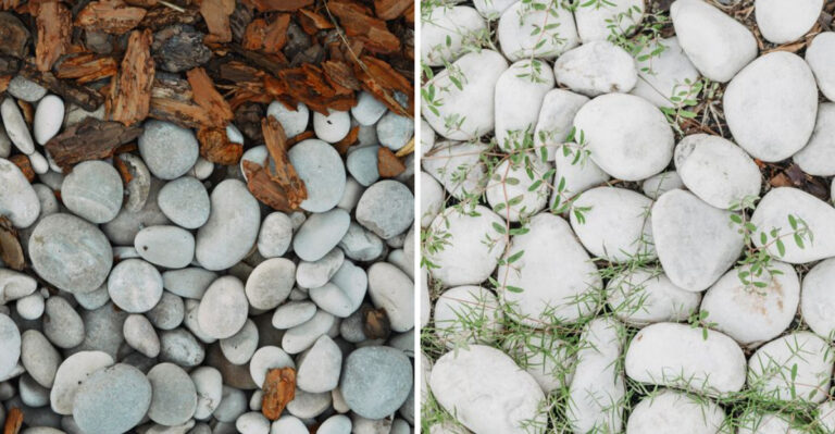 What Every Kentucky Gardener Should Consider Before Using Pebbles As Mulch
