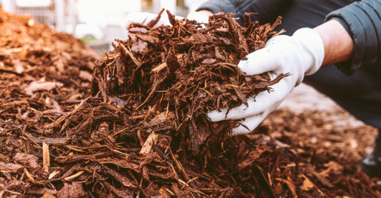 What It Really Means When Bark Dust Stops Holding Moisture In Oregon Beds